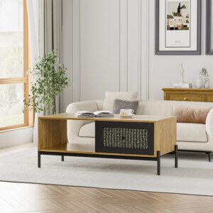 Rattan Coffee Table with Storage for Living Room